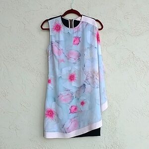 TED BAKER LONDON Agostia Chelsea Double Layer Sleeveless Dress Size 2